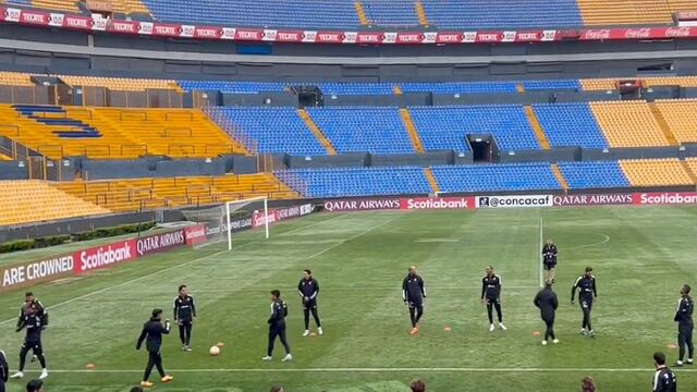 Tigres entrenamiento