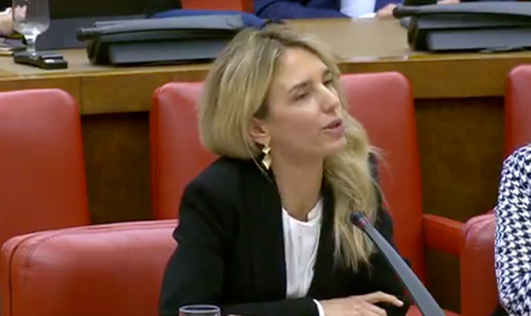 Cayetana Álvarez de Toledo