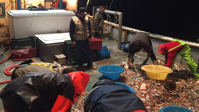 Incautan cargamento de pesca en zona de protección de vaquita marina
