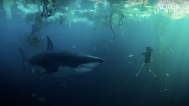 En las profundidades del Sena