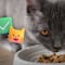 Estas son las mejores marcas de alimento para gatos según Profeco