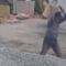 Exhiben destreza con la que albañil ciego trabaja en una construcción (VIDEO)