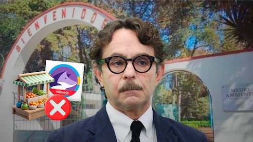 Gabriel Quadri se opone a convertir Viveros de Coyoacán en tianguis