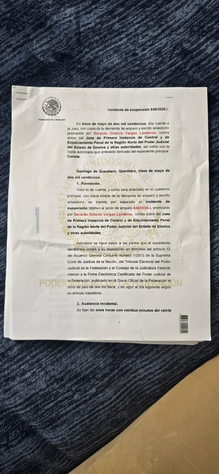 Documento que Gerardo Vargas Landeros presentó como supuesto amparo