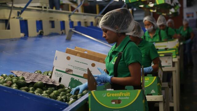 Exportación de aguacate