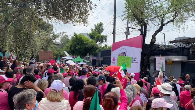 Marcha vs sobrerrepresentación en INE