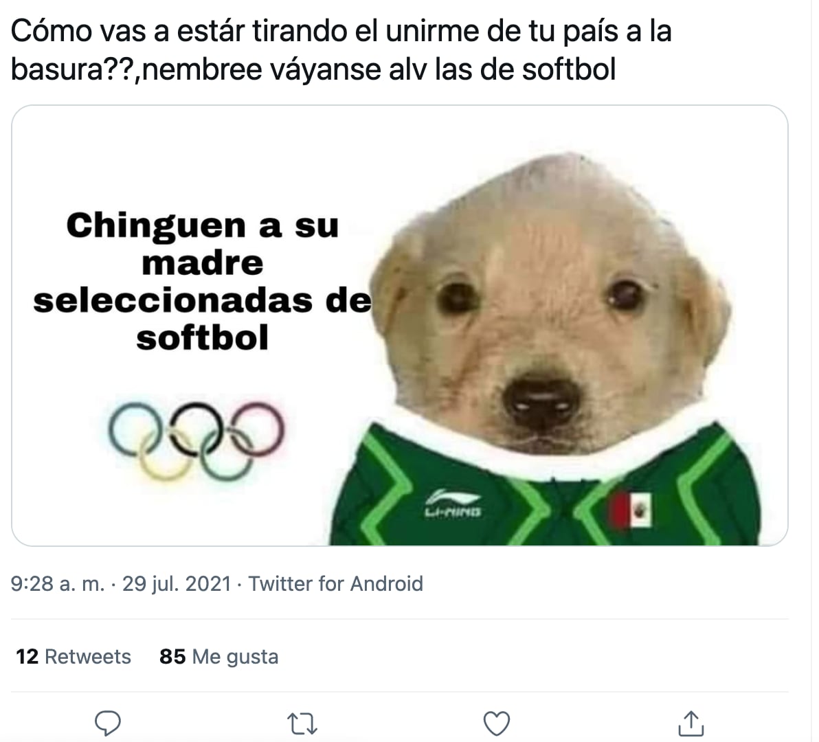 Memes sobre la polémica de la Selección Mexicana de Sóftbol