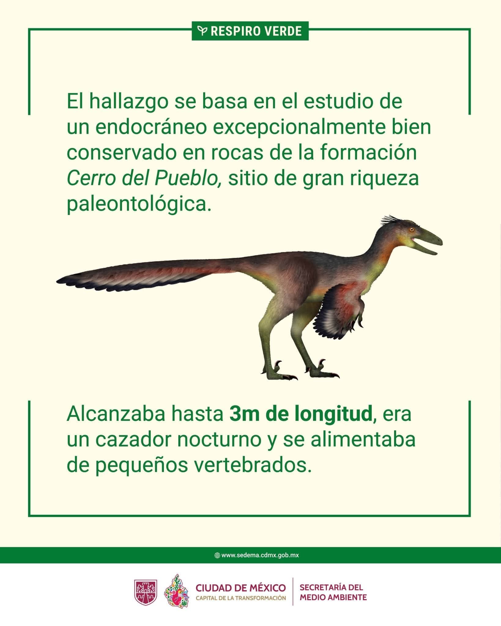 Descubren en Coahuila a un nuevo dinosaurio: el Xenovenator espinosai
