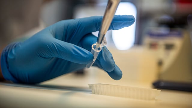 Prueba en laboratorio