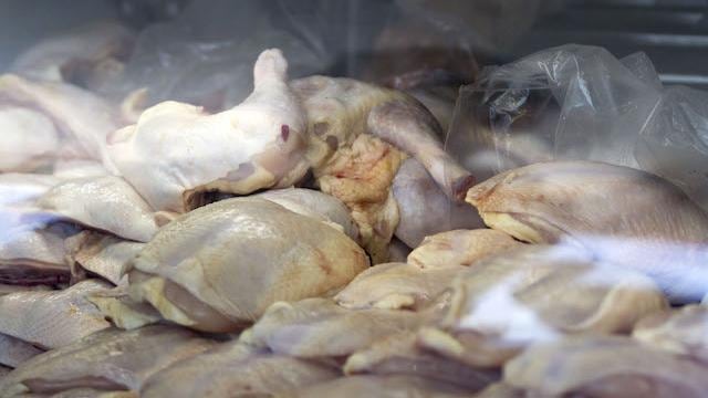 Guanajuato es de los mayores productores de pollo en el país.