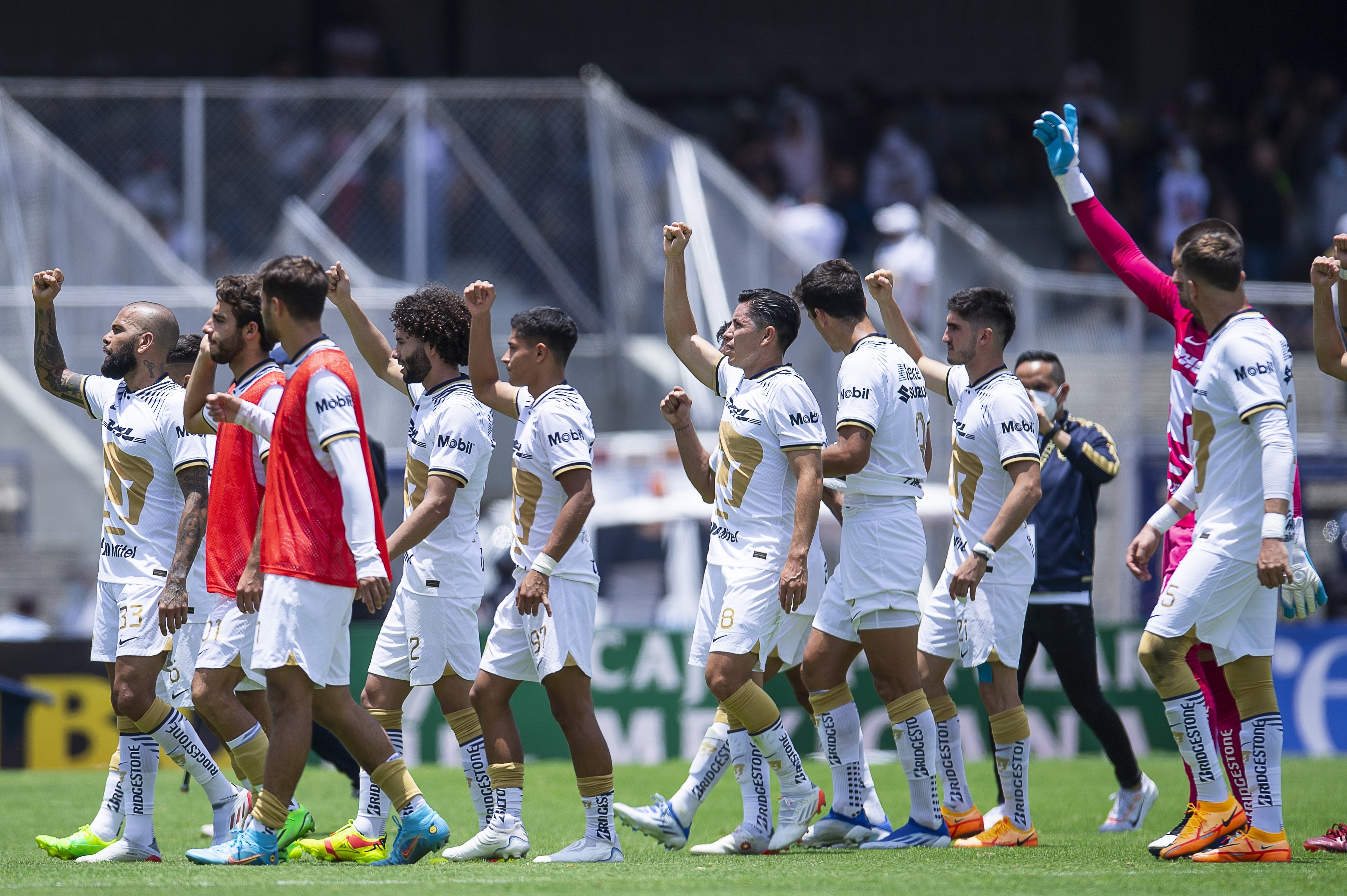 Pumas