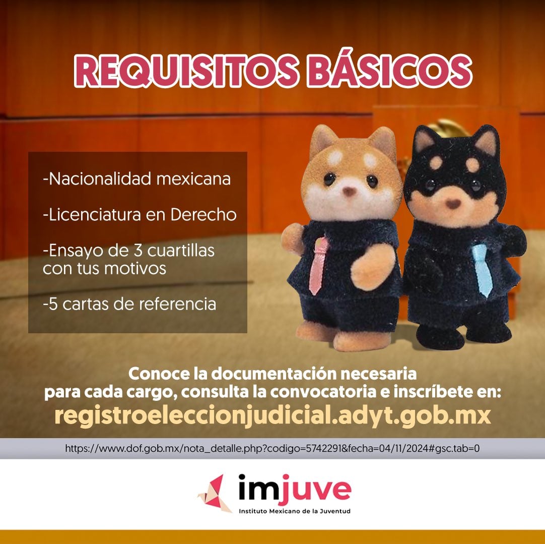 Requisitos elección al Poder Judicial 2025.