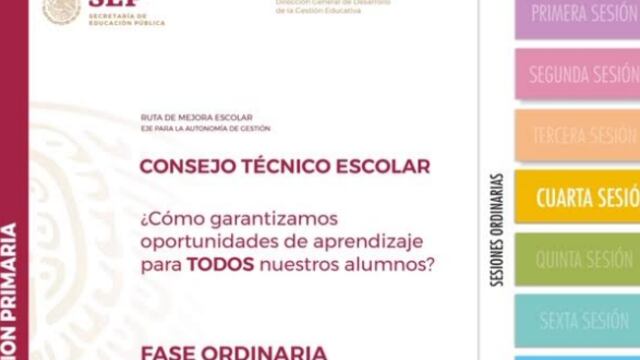 consejo tecnico