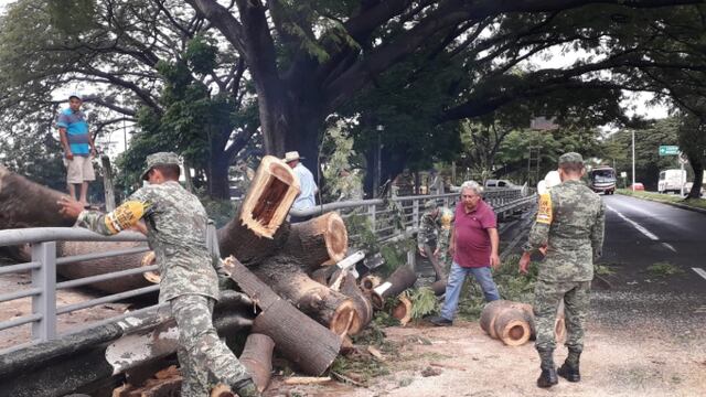 Afectaciones en Colima por 'Priscilla'.