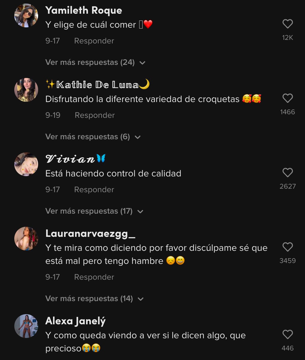 Cometarios al perrito que roba croquetas