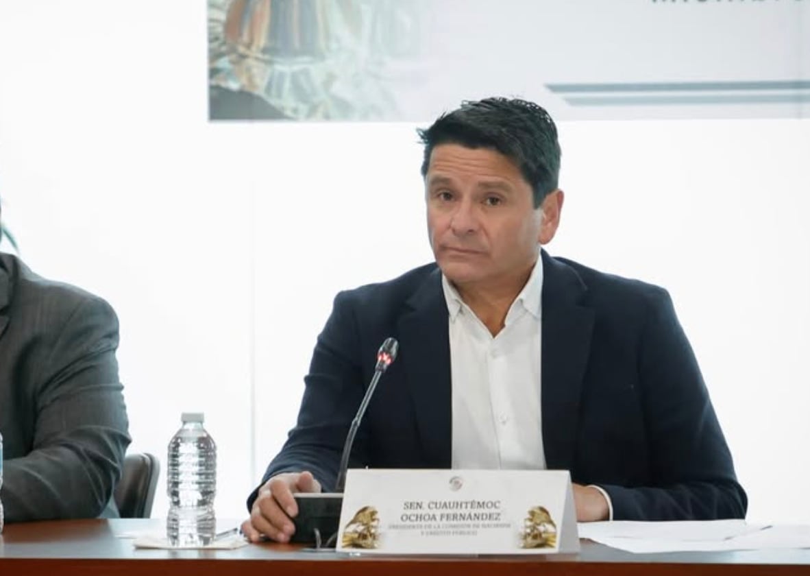 Cuauhtémoc Ochoa Fernández