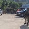 Balacera en playa Majahua en Acapulco deja un muerto