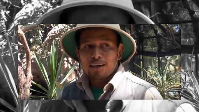 José Sánchez falleció víctima de las cornadas de un venado en celo, mientras trataba de alimentarlo en el zoológico de la capital bajacaliforniana.