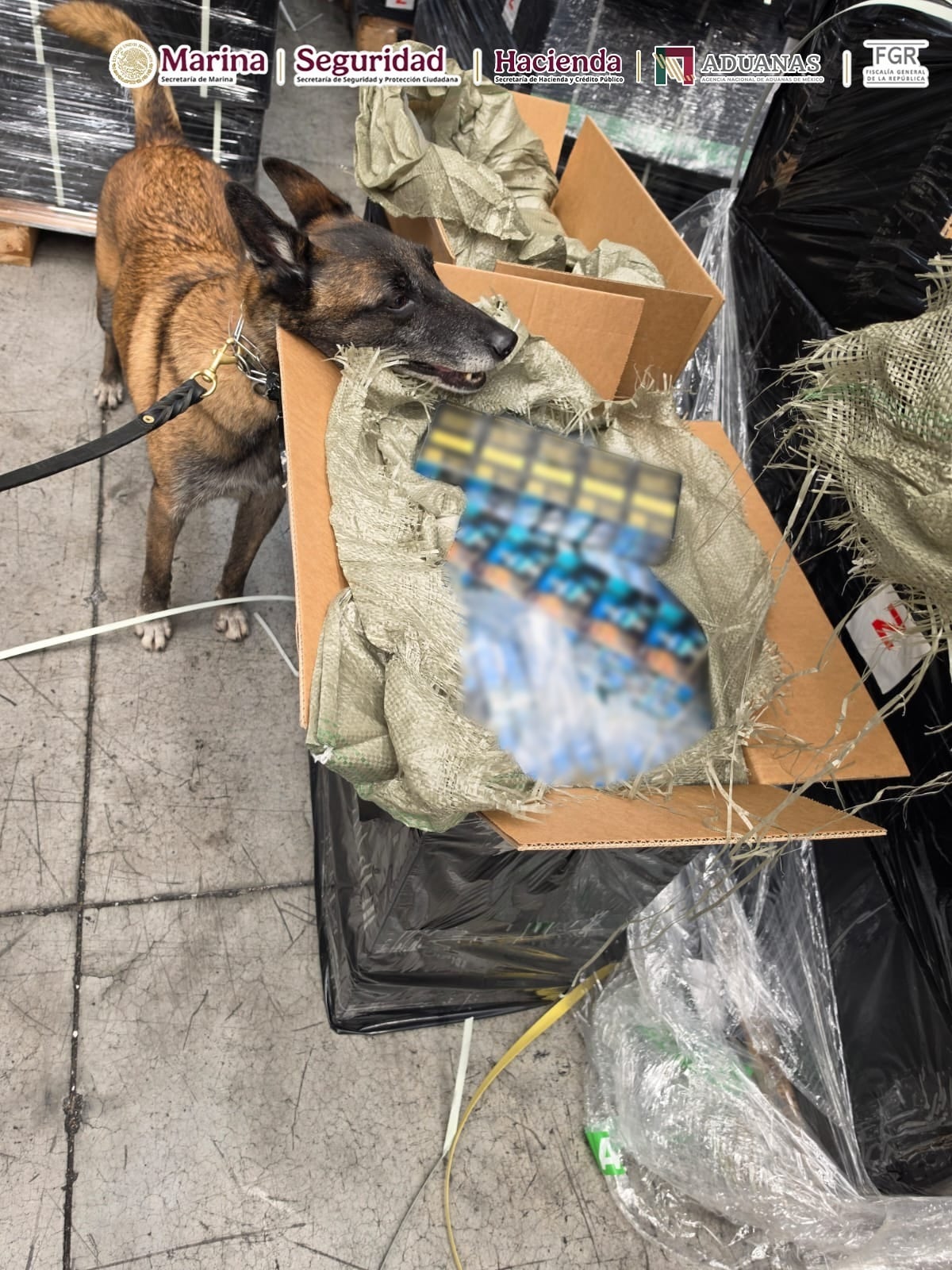 Marina y ANAM decomisan más de 9 toneladas de cigarros en el AICM.