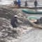 VIDEO: Miles de peces mueren por sequía en laguna de Hidalgo