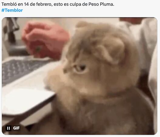 Memes del sismo en CDMX este 14 de febrero