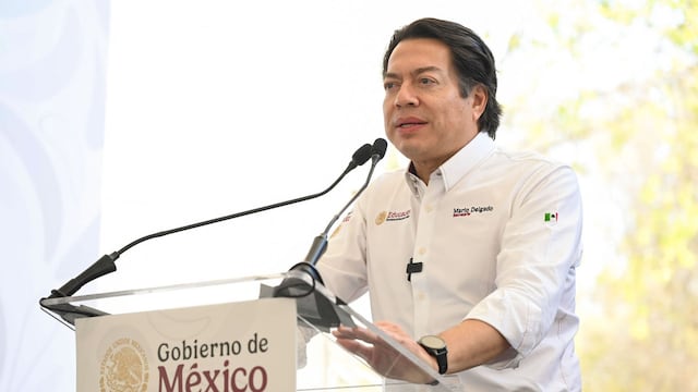Mario Delgado, secretario de Educación Pública
