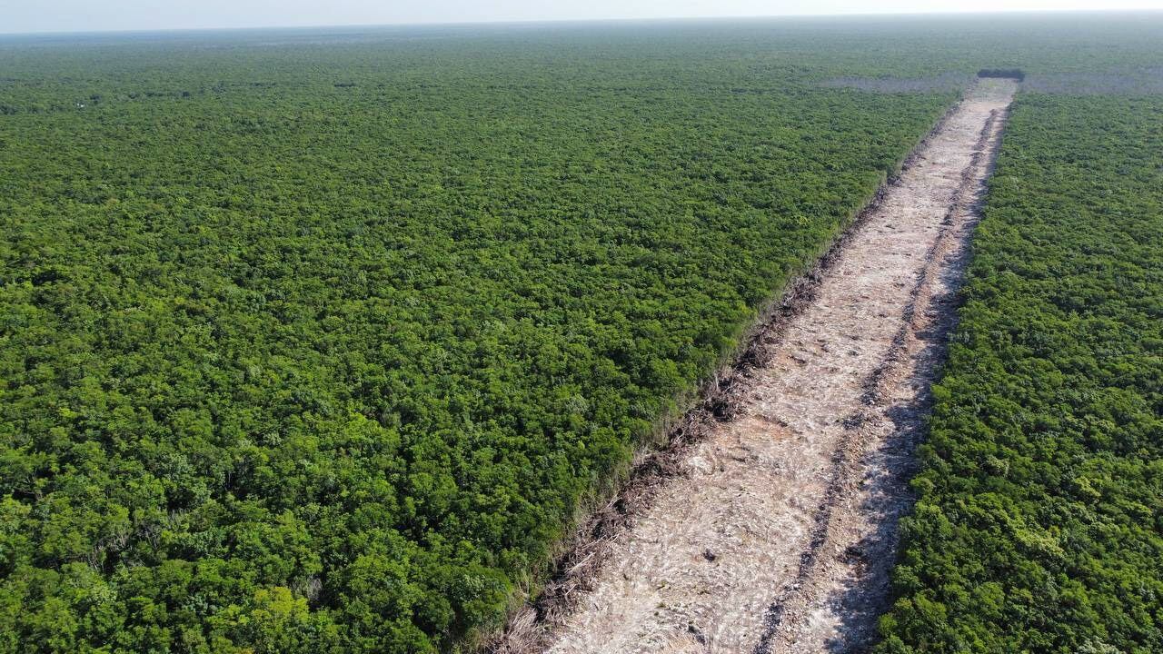 Tramo 5 del Tren Maya