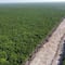 INAI ordena a Fonatur revelar el impacto del Tren Maya en el desarrollo urbano de Palenque, Chiapas