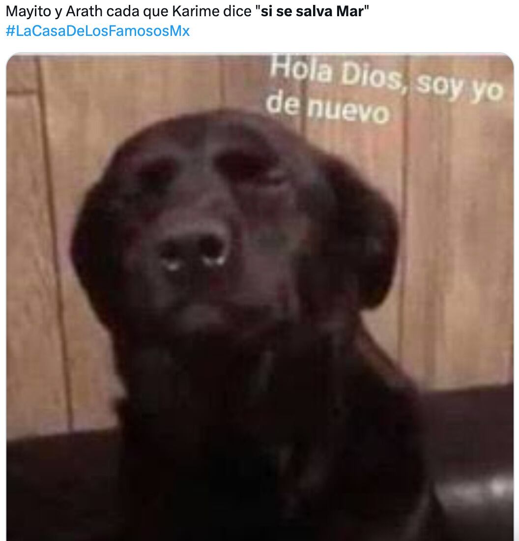 Karime Pindter inspira memes de "si mar se salva" en La Casa de los Famosos México 2024