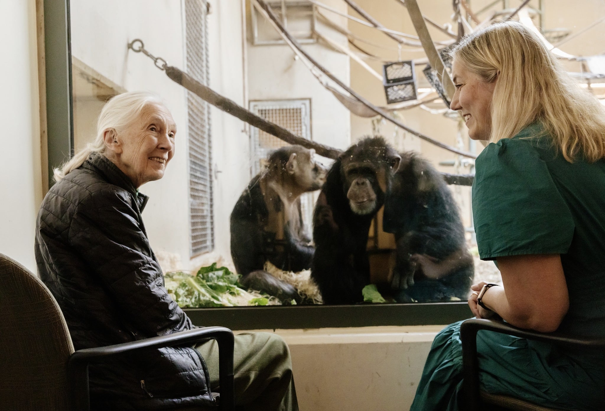 Muere Jane Goodall a los 91 años de edad