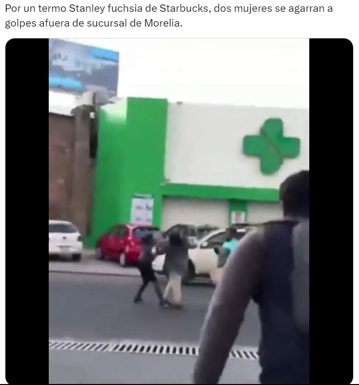 Memes del termo Stanley rosa de Starbucks