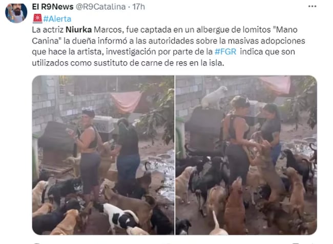 Acusan a Niurka de matar perros para rituales de santería