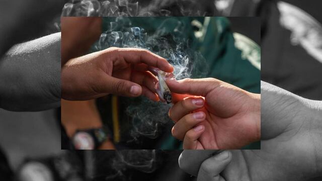 La primera semana después del fallo de la SCJN se recibieron seis solicitudes para permisos de consumo personal de la hierba.