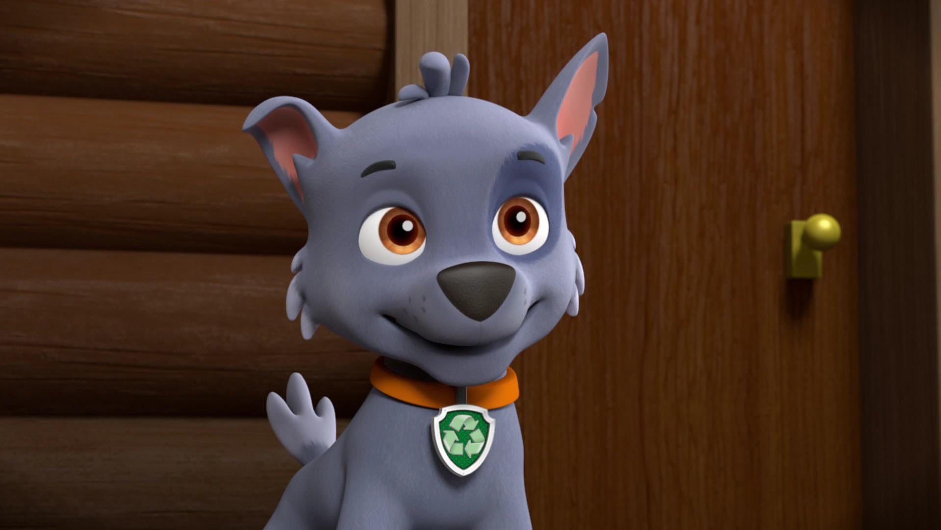 Rocky de Paw Patrol