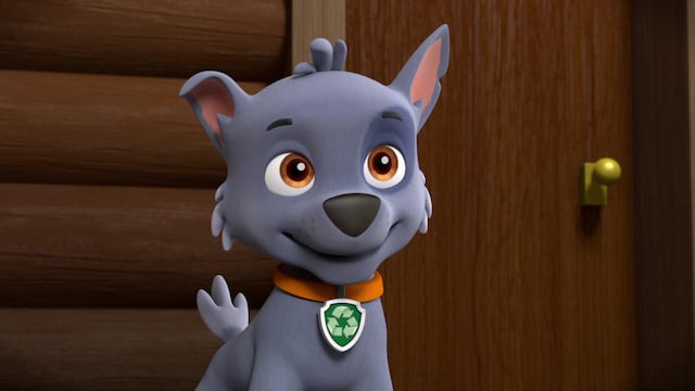 Rocky de Paw Patrol