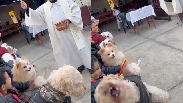 Reacción del perrito en la misa
