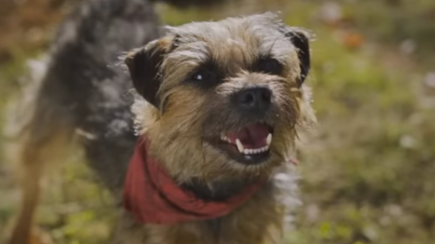 Hijos de Perra, película con la voz de Ricardo O’Farrill