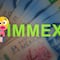 ¿Qué es IMMEX? Empresas usaron este programa del gobierno de México para fraudes