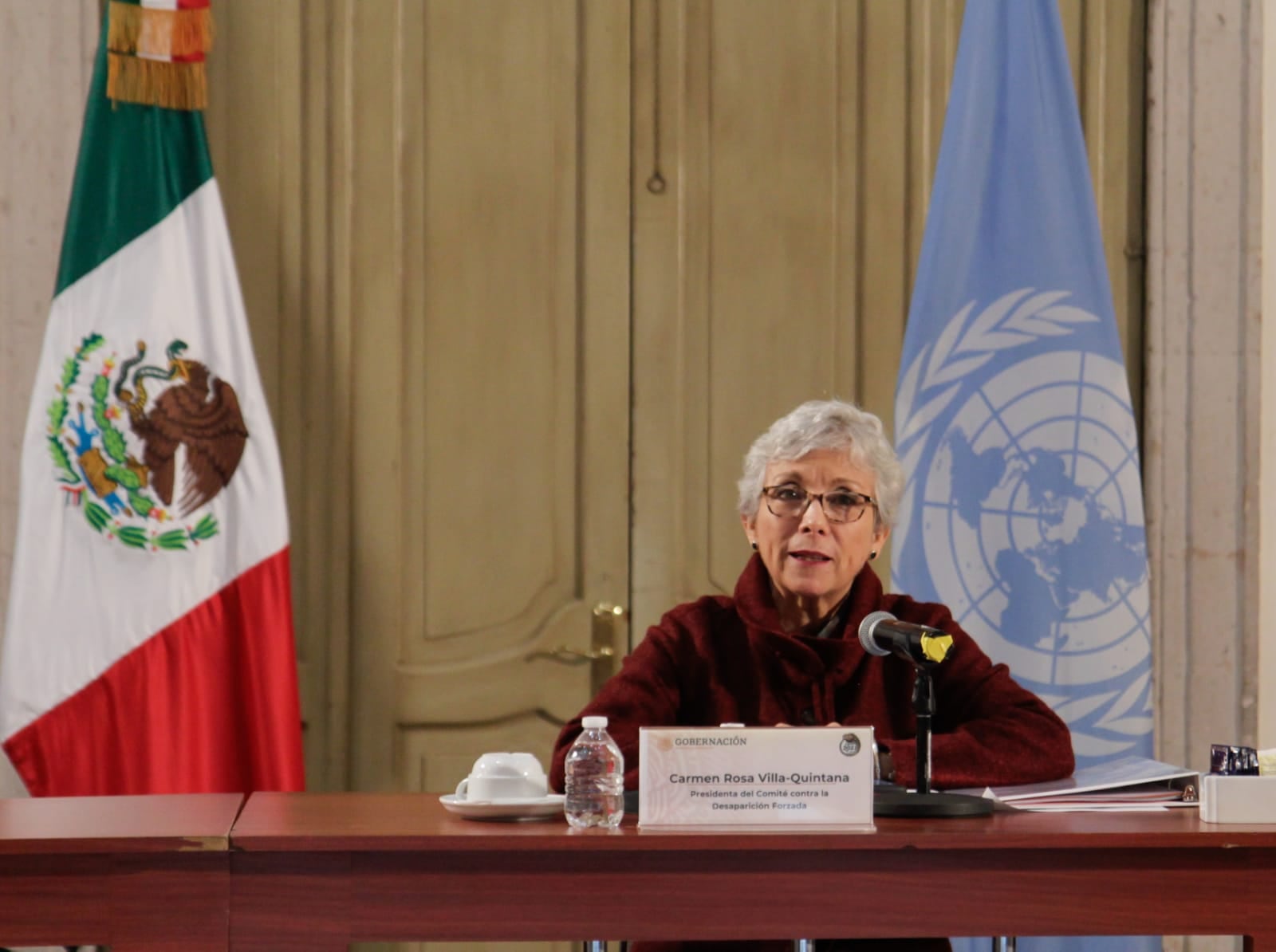 Presidenta del Comité, Carmen Rosa Villa Quintana