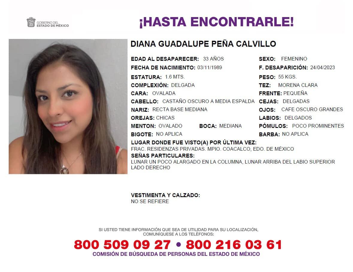 Ficha de búsqueda de Diana Guadalupe Peña Calvillo