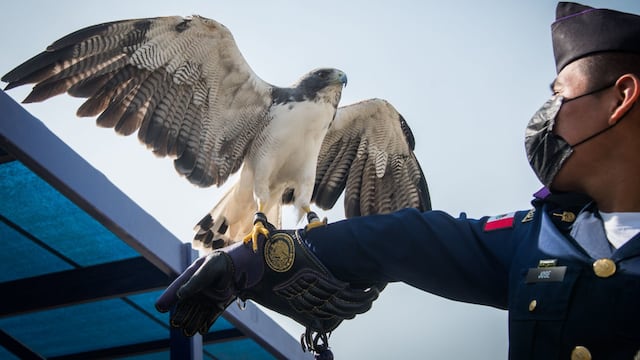Sistema Educativo Militar