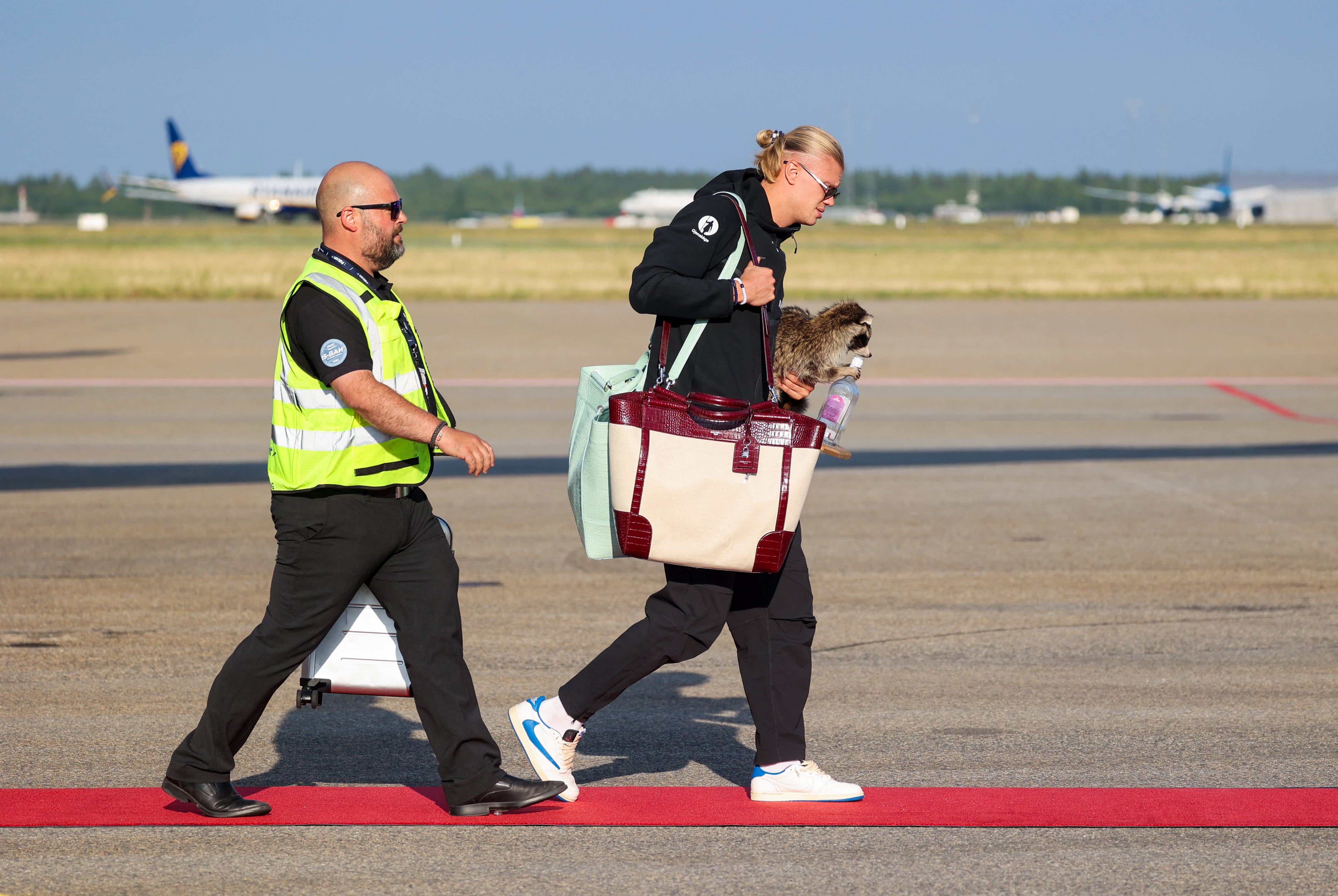 Haaland llega a Noruega con un mapache