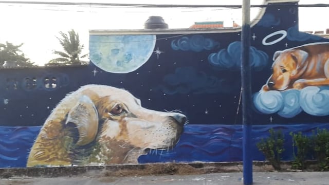 Mural contra perros envenenados en Campeche conmueve a internautas.
