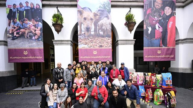 Delfina Gómez entrega alimento donado a protectoras de animales