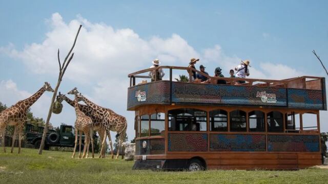 Africam Safari Puebla