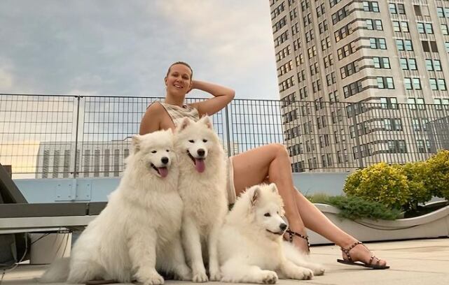 Viaja por el mundo con sus perros