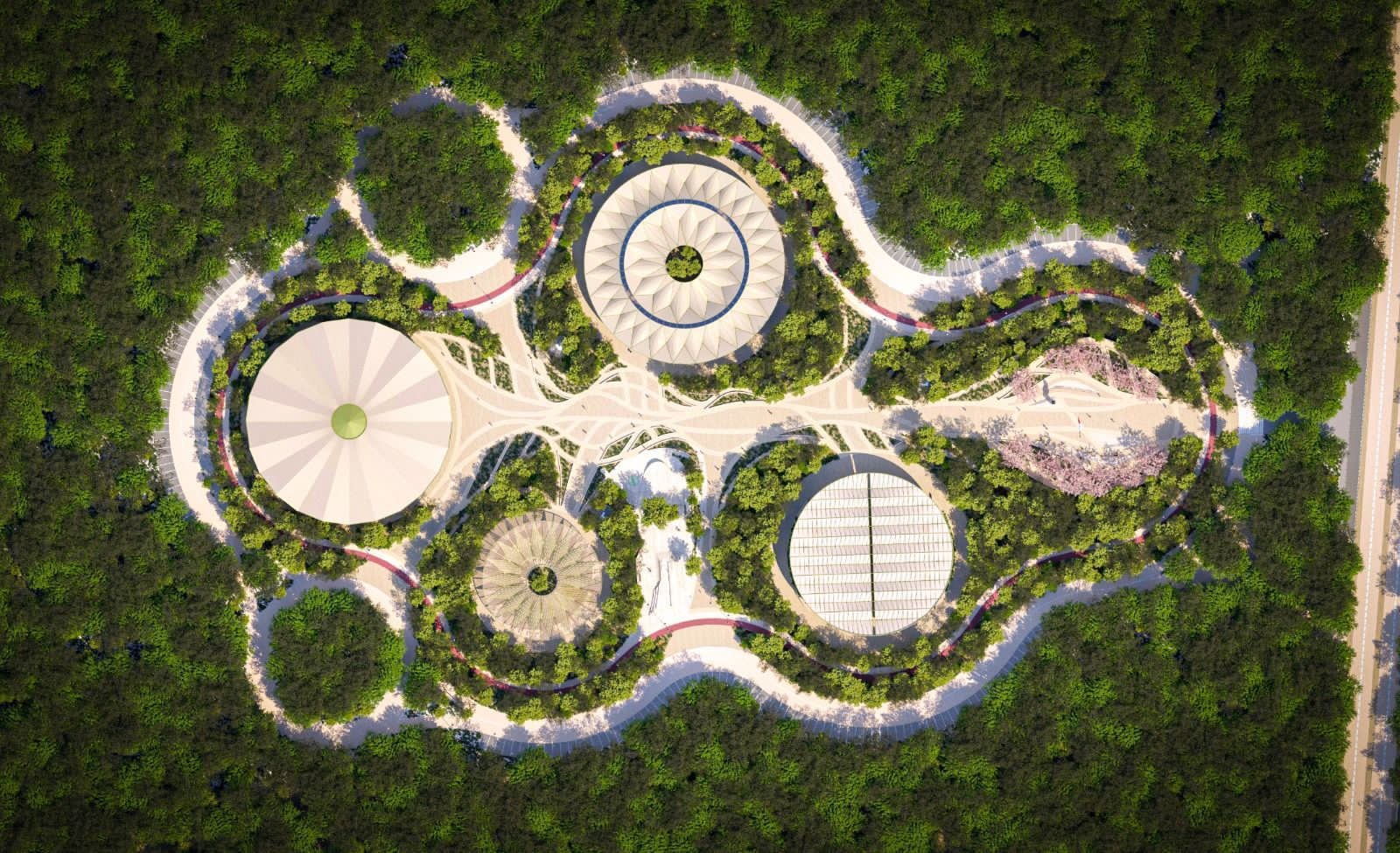 Obra en torno al Tren Maya