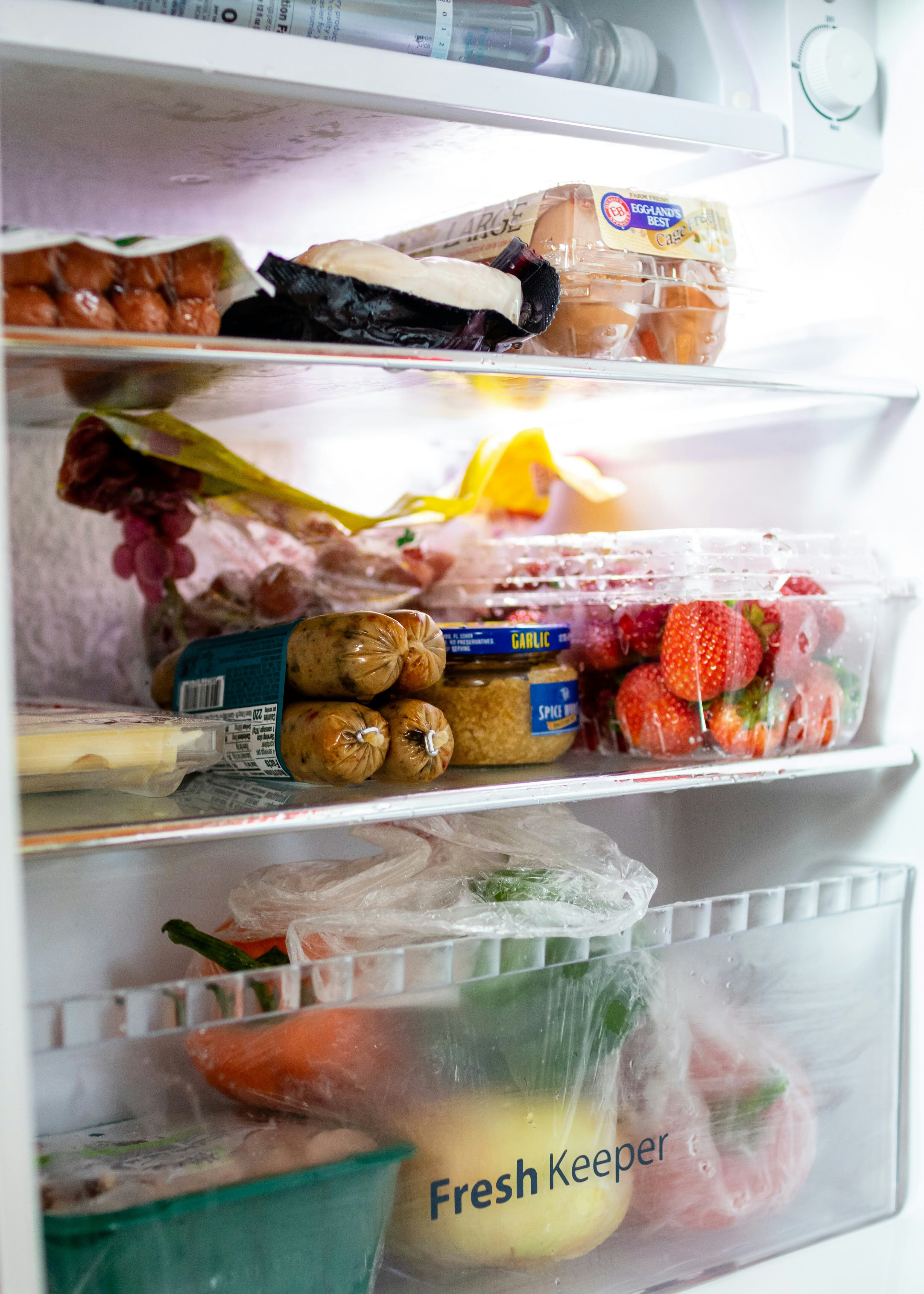 Día Mundial de la Refrigeración