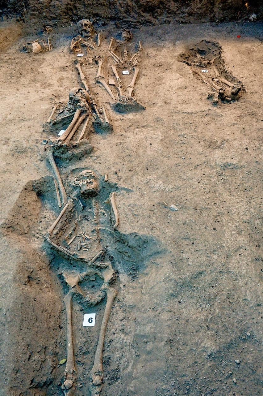 restos óseos humanos de europeos y americanos hallados en cementerio Virreinal en Chapultepec