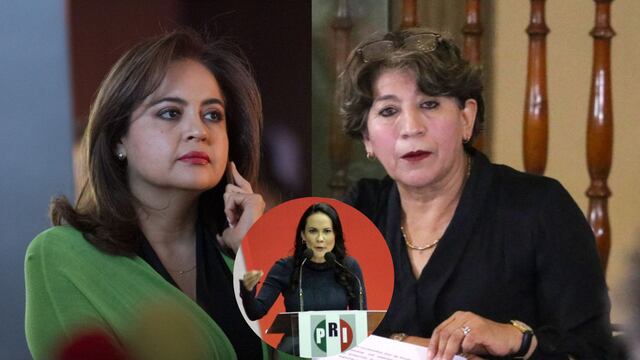 Ana Lilia Herrera se habría reunido con Delfina Gómez